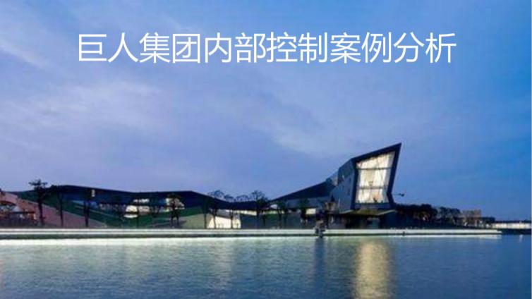 巨人集團內部控制案例分析