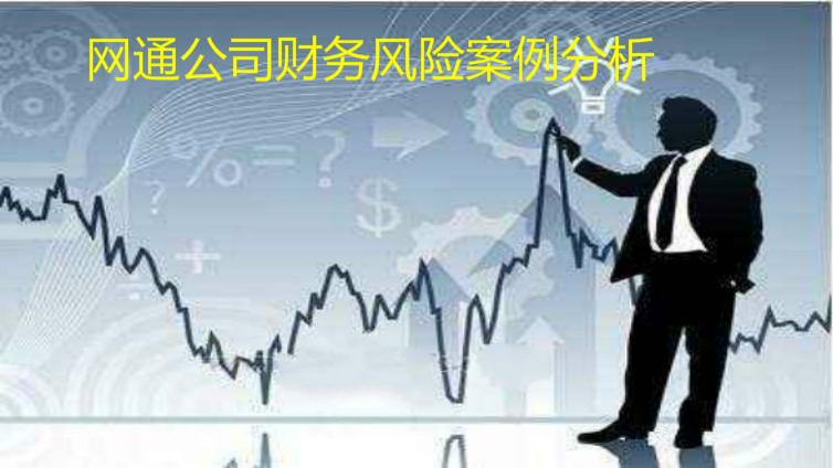 網通公司財務風險案例分析