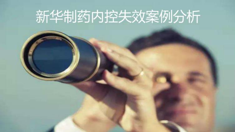 新華制藥內控失效案例分析